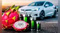Científicos chinos convierten cáscaras de pitahaya en un elemento clave para las baterías de autos eléctricos y aeronaves
