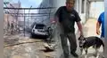 ¡Héroe de 4 patas! Perrito salva a su dueño durante incendio en taller mecánico de Trujillo