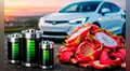 Científicos chinos logran convertir cáscaras de pitahaya en un elemento clave para las baterías de autos eléctricos y aeronaves militares