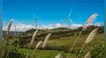 El viento puede cambiar la matriz energética: Perú tiene potencial eólico para generar más de 20.000 MW, pero solo aprovecha el 5%