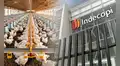 Indecopi abre proceso sancionador contra cinco avícolas por presunto acuerdo de precios del pollo: ¿Cuáles son?