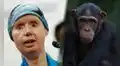 La historia de Charla Nash, la mujer que sobrevivió al ataque del chimpancé Travis en EE. UU.: enfrentó años de reconstrucción facial