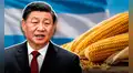 China compra maíz de un país de Sudamérica por primera vez en más de 10 años y proyectan que exportación supere 40 millones de toneladas