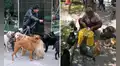 En esta ciudad del Perú sancionarán con multas de hasta S/1.100 a dueños que tengan más de dos mascotas
