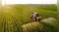 El país de Sudamérica que es el único autosuficiente del mundo: puede producir los 7 grupos alimenticios que necesita