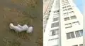 Bebé de un año cayó desde un octavo piso tras intentar alcanzar su peluche en un condominio de Comas
