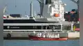 Hantavirus: OMS alerta posible transmisión entre humanos tras brote en crucero que dejó tres muertos