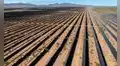 La planta de energía solar más grande de EE. UU. cierra tras causar la muerte de aves: costó más de US$1000 millones