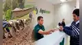 Midagri: Fondo Agroperú destina más de S/226 millones en créditos agropecuarios beneficiando a 14.059 pequeños productores del país