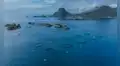 Las joyas naturales de Noruega al borde de la desaparición tras ser afectadas por industria clave: no es el petróleo ni el gas natural