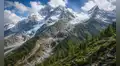 El Himalaya se está llenando de árboles y los científicos advierten que no es una buena noticia