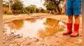 Leptospirosis avanza en Lambayeque: reportan 26 contagios y movilizan vigilancia sanitaria
