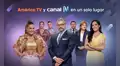 ¡Canal N llega a América tvGO! Más contenido en vivo y una nueva experiencia para ti