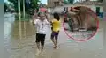 6 fallecidos y 439 contagios por Leptospirosis mantienen en alerta a Piura