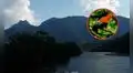 El parque natural que acaba de cumplir 61 años: posee más de 4.000 hectáreas de zona protegida, viven más de 650 especies, entre ellas, el ave nacional