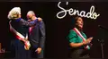 Senado: la comedia teatral en la que el público elige