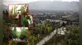 Un oasis de vegetación en pleno San Juan de Lurigancho: así nació la selva escondida hace 40 años en medio de avenidas y casas limeñas