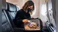 ¿Viajas con tu perro o gato en Europa? La UE exige microchip con código de país en tus mascotas a partir de esta fecha