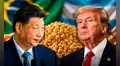 En la mira de China y EE.UU.: un país de Sudamérica podría producir 186 millones de toneladas de soja y liderar exportaciones mundiales