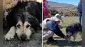 Chuño, el perrito que acompañó a investigadores del complejo T’aqrachullo y se quedó como guardián