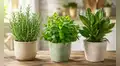 Tres plantas que ayudan a mantener las cucarachas lejos de tu casa y que puedes conseguir en cualquier mercado