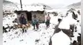 Hasta 5 centímetros de nieve: bajas temperatura dejan muertos, bloquean vías y afectan ganado en estas regiones