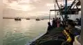 Produce paraliza pesca de anchoveta por El Niño Costero hasta el 10 de junio: ¿riesgo para el sector? Esto advierte Imarpe tras ampliación