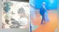Asaltan tienda de armas en Surco y roban 29 pistolas, escopetas y carabinas