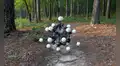 Con 20 patas para trepar paredes y moverse entre árboles: científicos crean el cuerpo ideal para un robot