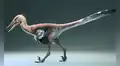 Paleontólogos argentinos descubren una nueva especie de dinosaurio pescador y emparentado con el velociraptor