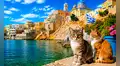 Grecia busca voluntarios para cuidar gatos en una isla paradisíaca por un mes: alojamiento, desayuno y gastos incluidos