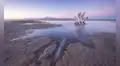 No existe en ningún otro lugar de la Tierra: científicos descubren una criatura misteriosa bajo un lago ultrasalado
