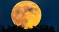 Calendario lunar junio 2026: cuándo habrá luna llena y cuáles serán las fases lunares en este mes