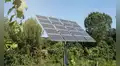 De campos sin vida a ecosistemas verdes: los parques solares en España que reparan el daño histórico de la agricultura intensiva