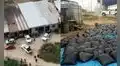 Tumbes: incautan petróleo y diésel valorizados en S/60.000 ingresados ilegalmente desde Ecuador