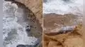 Naufragio en la Bahía de Paracas: dos pescadores desaparecen en medio de fuerte oleaje