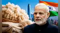 India compra por primera vez lana ovina de un país de América Latina y la posiciona en uno de los mayores mercados textiles del mundo