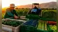 ADEX pide al próximo gobierno fortalecer el sector agrario tras crecimiento de 6.8% de las exportaciones que sumaron US$3.744 millones