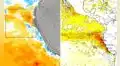 Senamhi alerta sobre temperaturas por encima de lo normal y pide reforzar la preparación ante El Niño
