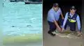Cocodrilo de más de dos metros aparece en playa Los Órganos y causa alarma en Tumbes