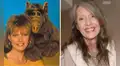 Muere Anne Schedeen, la actriz que dio vida a Kate Tanner en ‘ALF’, a los 73 años