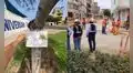 Pulmón verde en riesgo: vecinos alertan muerte de árboles trasladados por la Vía Expresa Santa Rosa