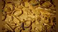 Se hundió en 1633 con miles de monedas de oro a bordo: arqueólogos resuelven el misterio de un naufragio