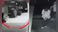 Ingresaron como cliente, se escondieron por 3 horas en un puesto de pescado y robaron S/90.000 en mercado de VES