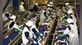 Fenómeno El Niño: manufactura perdería hasta S/350 millones diarios si se registra un evento fuerte