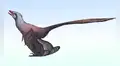 China descubre un nuevo dinosaurio con plumas: tenía 4 alas y una cola parecida a la de un pavo real