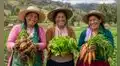 Midagri revela que casi la mitad de los productores agrarios son mujeres: destacan a 12 agricultoras por contribuir a la seguridad alimentaria