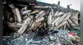 Al menos 800 edificios afectados por el doble terremoto en Venezuela, indicios de informalidad y baja calidad