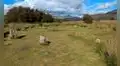 Arqueólogos descubren en Escocia un antiguo círculo subterráneo que podría ser un monumento similar a Stonehenge
