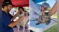Municipalidad de Lima realizará campaña veterinaria gratuita para mascotas este 9 de julio: conoce dónde será y qué servicios ofrecerá